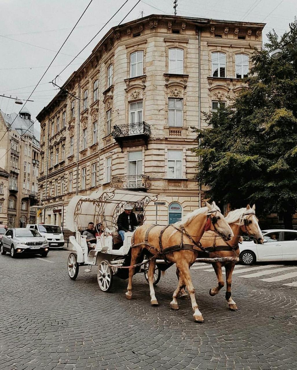 Green Apartment Lviv Kültér fotó