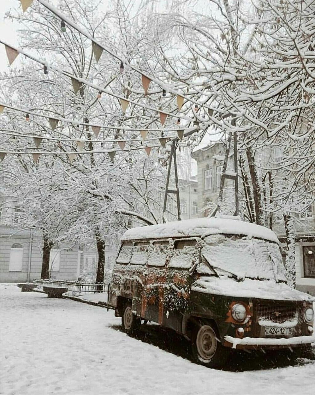 Green Apartment Lviv Kültér fotó